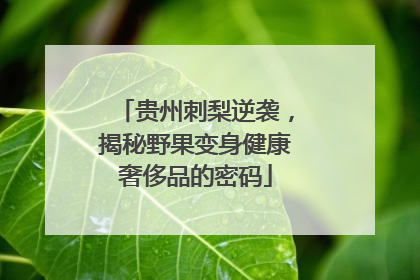贵州刺梨逆袭，揭秘野果变身健康奢侈品的密码