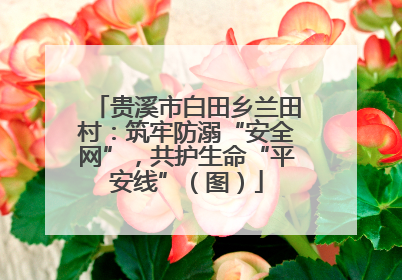贵溪市白田乡兰田村：筑牢防溺“安全网”，共护生命“平安线”（图）