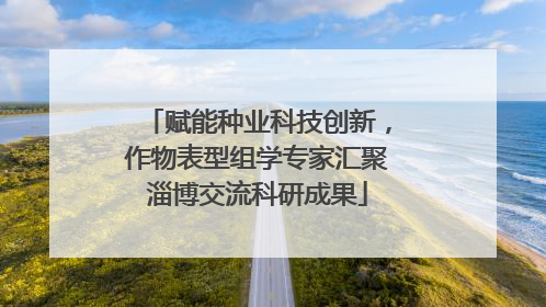 赋能种业科技创新，作物表型组学专家汇聚淄博交流科研成果