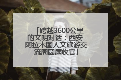跨越3600公里的文明对话：西安-阿拉木图人文旅游交流周圆满收官
