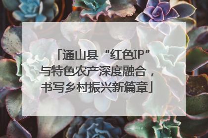 通山县“红色IP”与特色农产深度融合，书写乡村振兴新篇章