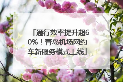 通行效率提升超60%！青岛机场网约车新服务模式上线