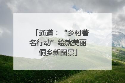 通道：“乡村著名行动”绘就美丽侗乡新图景