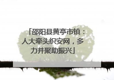 邵阳县黄亭市镇：人大牵头织安网，多力并聚助振兴