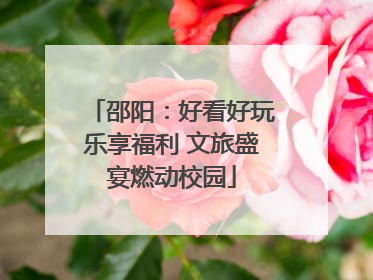 邵阳：好看好玩乐享福利 文旅盛宴燃动校园
