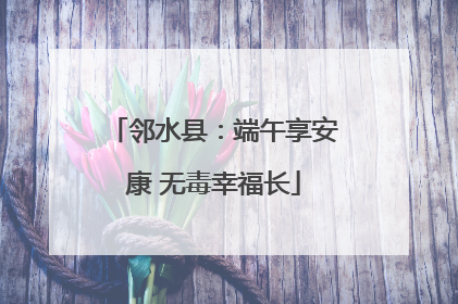 邻水县：端午享安康 无毒幸福长