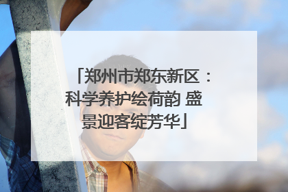 郑州市郑东新区：科学养护绘荷韵 盛景迎客绽芳华