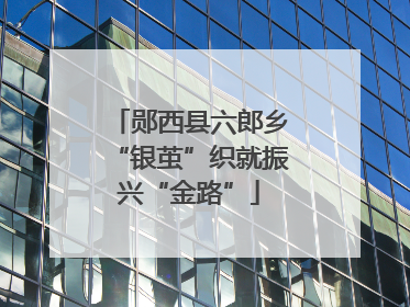 郧西县六郎乡“银茧”织就振兴“金路”