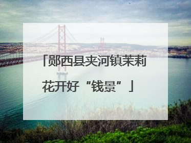 郧西县夹河镇茉莉花开好“钱景”