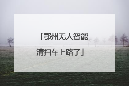 鄂州无人智能清扫车上路了