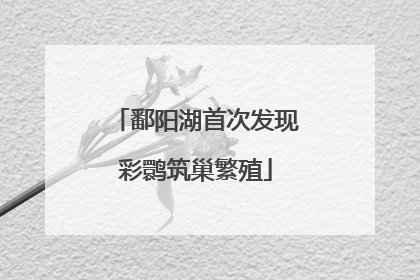 鄱阳湖首次发现彩鹮筑巢繁殖