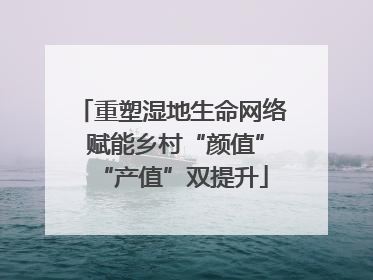 重塑湿地生命网络 赋能乡村“颜值”“产值”双提升