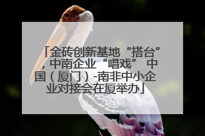金砖创新基地“搭台”，中南企业“唱戏” 中国（厦门）-南非中小企业对接会在厦举办