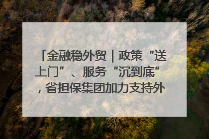 金融稳外贸｜政策“送上门”、服务“沉到底”，省担保集团加力支持外经贸高质量发展