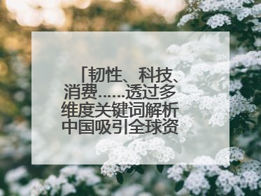 韧性、科技、消费……透过多维度关键词解析中国吸引全球资本“新磁场”