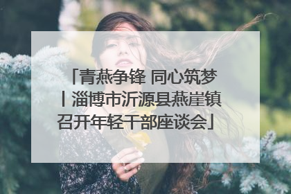青燕争锋 同心筑梦丨淄博市沂源县燕崖镇召开年轻干部座谈会