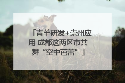 青羊研发+崇州应用 成都这两区市共舞“空中芭蕾”