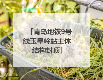 青岛地铁9号线玉皇岭站主体结构封顶