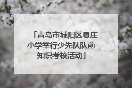 青岛市城阳区夏庄小学举行少先队队前知识考核活动