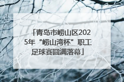 青岛市崂山区2025年“崂山湾杯”职工足球赛圆满落幕