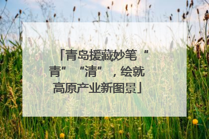 青岛援藏妙笔“青”“清”，绘就高原产业新图景