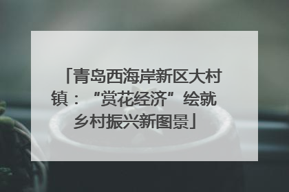 青岛西海岸新区大村镇：“赏花经济”绘就乡村振兴新图景