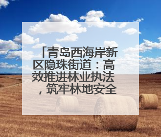 青岛西海岸新区隐珠街道：高效推进林业执法，筑牢林地安全屏障