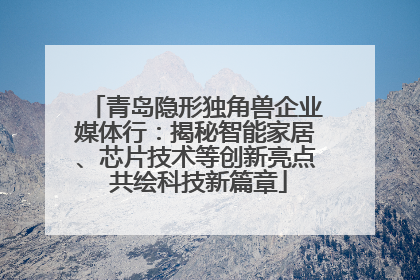 青岛隐形独角兽企业媒体行：揭秘智能家居、芯片技术等创新亮点 共绘科技新篇章