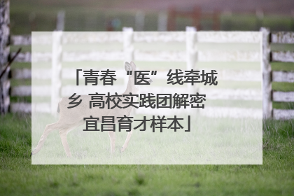 青春“医”线牵城乡 高校实践团解密宜昌育才样本