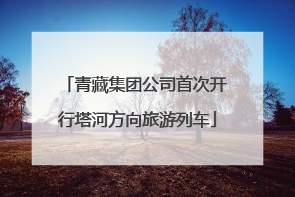 青藏集团公司首次开行塔河方向旅游列车