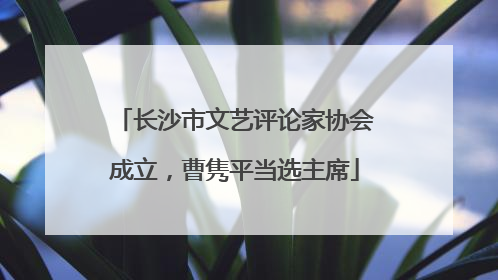 长沙市文艺评论家协会成立，曹隽平当选主席