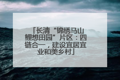 长清“锦绣马山 鲤想田园”片区：四链合一，建设宜居宜业和美乡村