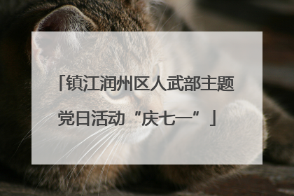 镇江润州区人武部主题党日活动“庆七一”
