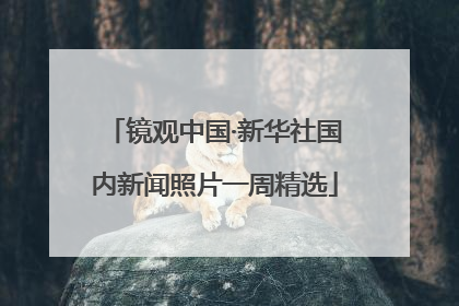 镜观中国·新华社国内新闻照片一周精选
