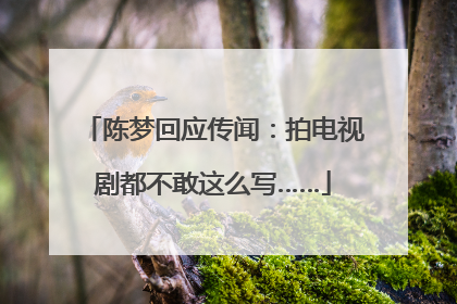 陈梦回应传闻：拍电视剧都不敢这么写……