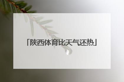陕西体育比天气还热