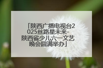 陕西广播电视台2025丝路星未来-陕西省少儿六一文艺晚会圆满举办