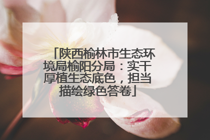 陕西榆林市生态环境局榆阳分局：实干厚植生态底色，担当描绘绿色答卷