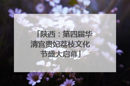 陕西：第四届华清宫贵妃荔枝文化节盛大启幕