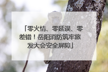 零火情、零延误、零差错！岳阳消防筑牢旅发大会安全屏障