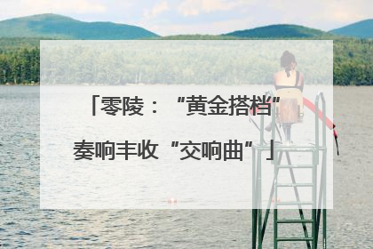零陵：“黄金搭档”奏响丰收“交响曲”