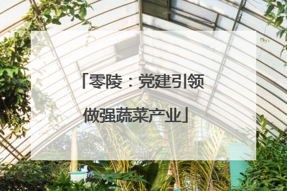 零陵：党建引领 做强蔬菜产业