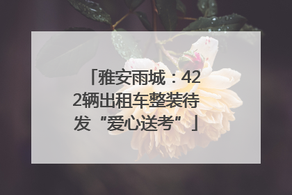 雅安雨城：422辆出租车整装待发“爱心送考”