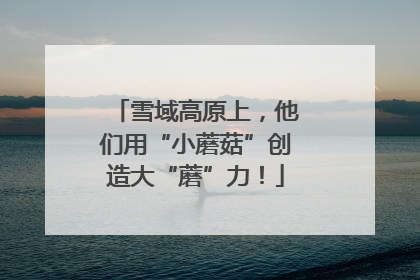 雪域高原上，他们用“小蘑菇”创造大“蘑”力！