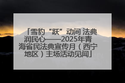 雪豹“跃”动间 法典润民心——2025年青海省民法典宣传月（西宁地区）主场活动见闻