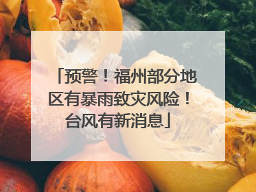 预警！福州部分地区有暴雨致灾风险！台风有新消息