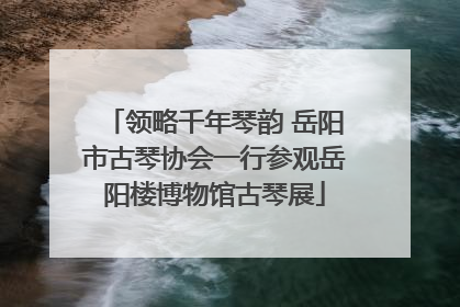 领略千年琴韵 岳阳市古琴协会一行参观岳阳楼博物馆古琴展