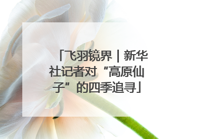 飞羽镜界｜新华社记者对“高原仙子”的四季追寻