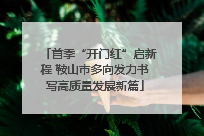 首季“开门红”启新程 鞍山市多向发力书写高质量发展新篇