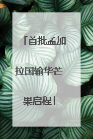 首批孟加拉国输华芒果启程